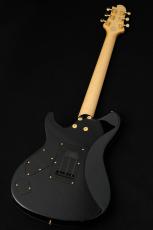 Sugi Standard Series DS496IR FM-EX/HM/F-MAHO -RBL-_9