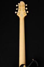 Sugi Standard Series DS496IR FM-EX/HM/F-MAHO -RBL-_10