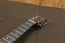 Martin LX-1RE_8