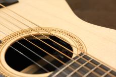 Martin LX-1RE_11