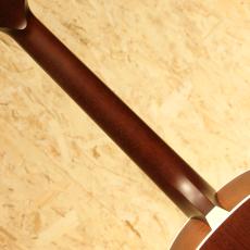 IRIS GUITAR COMPANY OG Model Adirondack Spruce Tobacco Burst_7