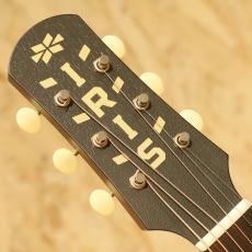 IRIS GUITAR COMPANY OG Model Adirondack Spruce Tobacco Burst_8