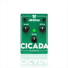 Olinthus Cicada