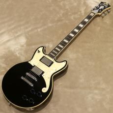 D'Angelico Premier Series Premier Brighton, Black Flake_2
