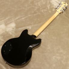 D'Angelico Premier Series Premier Brighton, Black Flake_3