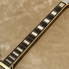 D'Angelico Premier Series Premier Brighton, Black Flake_6