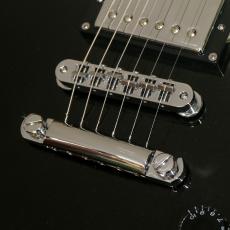 D'Angelico Premier Series Premier Brighton, Black Flake_7