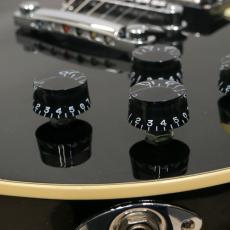 D'Angelico Premier Series Premier Brighton, Black Flake_8