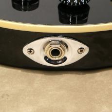 D'Angelico Premier Series Premier Brighton, Black Flake_10