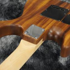 dragonfly CL-HST SSH MPD/MAP OPM Limited Edition -Central Line Series-【2025年製】【日本製】_8