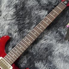 Paul Reed Smith [PRS] SE DGT Standard Vintage Cherry【2026年NEWモデル!】_4