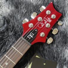 Paul Reed Smith [PRS] SE DGT Standard Vintage Cherry【2026年NEWモデル!】_5
