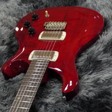 Paul Reed Smith [PRS] SE DGT Standard Vintage Cherry【2026年NEWモデル!】_8