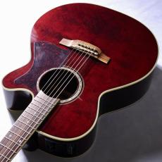 Takamine 【即納可】DMP551C WR【試奏動画あり】【中古】【大人気モデル!】【クロサワ楽器日本総本店】_10