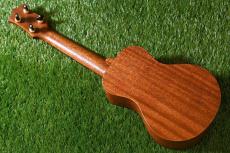 HAMAGEN S-020 Soprano_3