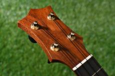 HAMAGEN S-020 Soprano_5