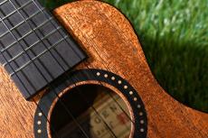 HAMAGEN S-020 Soprano_10