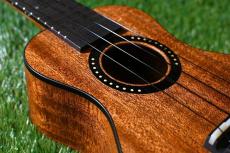 HAMAGEN S-020 Soprano_12