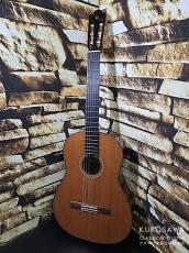 Chai Yukinobu [茶位幸信] NP-15S 1983年製 杉・ローズウッド 【日本総本店2F 在庫品】
