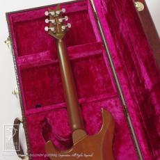 Bersis DRAGON Ⅳ Andromeda Nebula_8