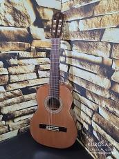 Prudencio Saez プルデンシオ・サエス Mod.53 杉・サペリ 530mm【日本総本店2F 在庫品】