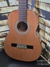 Prudencio Saez プルデンシオ・サエス Mod.53 杉・サペリ 530mm【日本総本店2F 在庫品】_2