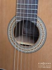 Prudencio Saez プルデンシオ・サエス Mod.53 杉・サペリ 530mm【日本総本店2F 在庫品】_3