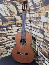 Paco Castillo パコ・カスティージョ 204C 杉・ローズウッド