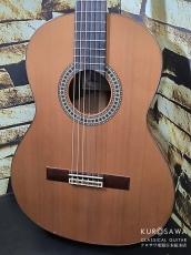 Paco Castillo パコ・カスティージョ 204C 杉・ローズウッド_2