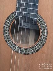 Paco Castillo パコ・カスティージョ 204C 杉・ローズウッド_3