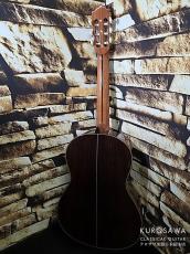 Paco Castillo パコ・カスティージョ 204C 杉・ローズウッド_6