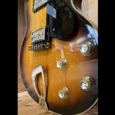 DeArmond by Guild M-75_4