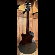 DeArmond by Guild M-75_8