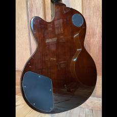 DeArmond by Guild M-75_9