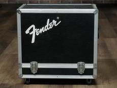 Fender 1966 Champ AA764_8