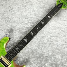 Paul Reed Smith [PRS] SE Custom24 Quilt Package 【Eriza Verde】_4