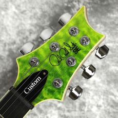 Paul Reed Smith [PRS] SE Custom24 Quilt Package 【Eriza Verde】_5