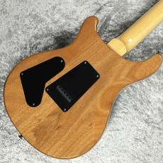 Paul Reed Smith [PRS] SE Custom24 Quilt Package 【Eriza Verde】_6