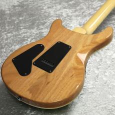 Paul Reed Smith [PRS] SE Custom24 Quilt Package 【Eriza Verde】_7