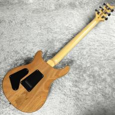 Paul Reed Smith [PRS] SE Custom24 Quilt Package 【Eriza Verde】_8