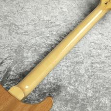 Paul Reed Smith [PRS] SE Custom24 Quilt Package 【Eriza Verde】_9