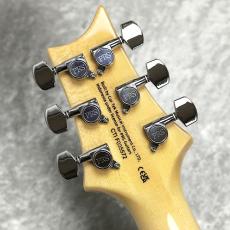 Paul Reed Smith [PRS] SE Custom24 Quilt Package 【Eriza Verde】_10