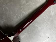 Taylor 214ce RED DLX　【現物写真】_9