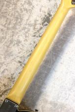 FUJIGEN 【上位モデル】NTE210RAH Black #B240556【3.57kg】【ラッカーフィニッシュ】_9