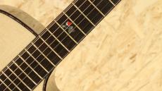 Water Road Guitars Deep Arte Cutaway Hokusai Inspired"Mozu Ruri Hebi-ichigo Yukinoshita" -MIKI 200th Anniversary-_10