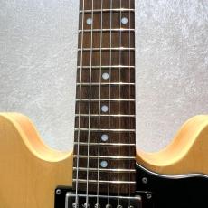 Epiphone Dot 2016年製_4