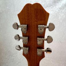 Epiphone Dot 2016年製_6