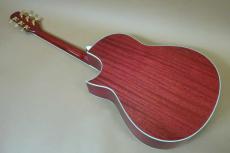 Morris TC-16 SPK / See-through pink・Englmann Spruce and Flame Sycamore Top・Solid African Mahogany Side and Back・Ebony Fingerboard and Bridge・Clear guard・With L.R.Baggs Element【With Original Hard Case】 2020年製_6