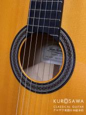 Juan Hernandez [ホアン・エルナンデス] ホアン・エルナンデス SONATA Flamenca ソナタ・フラメンカ 松・シカモア【日本総本店2F 在庫品】_3