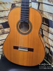 Juan Hernandez [ホアン・エルナンデス] 2010年製 SONATA Flamenca ソナタ・フラメンカ 松・シカモア【日本総本店2F 在庫品】_2